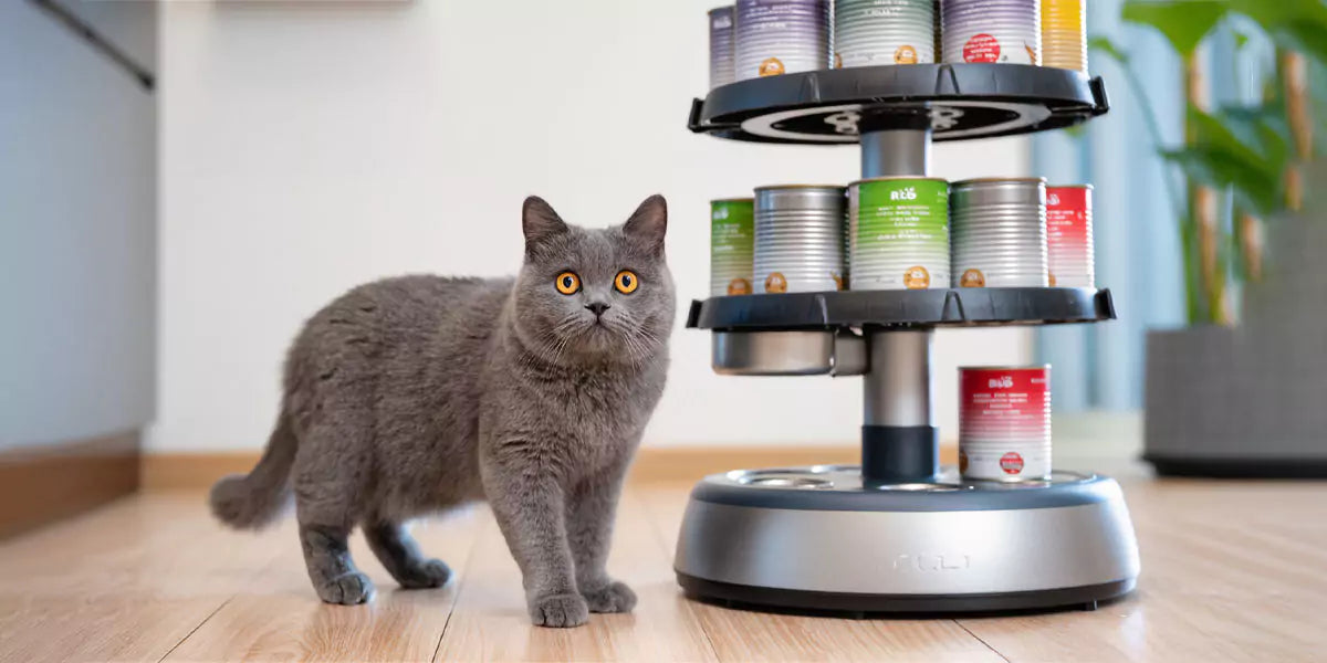 Fleischanteil im Katzenfutter