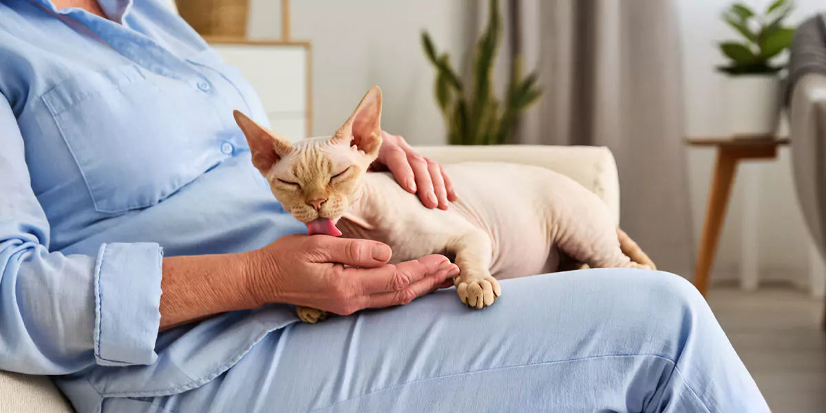 Leckverhalten von Katzen