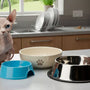 Optimale Katzen Futternapf