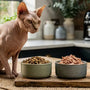 Hochwertiges Trockenfutter für sensible Katzen in einer Keramikschüssel – getreidefrei und hypoallergen