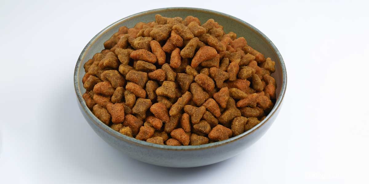 Beastfood hochwertige Premium-Nahrung Vor und Danach