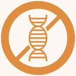 Beastfood Katzenfutter Highlight ohne Zusatzstoffe