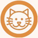 Beastfood Katzenfutter Highlight Yummy