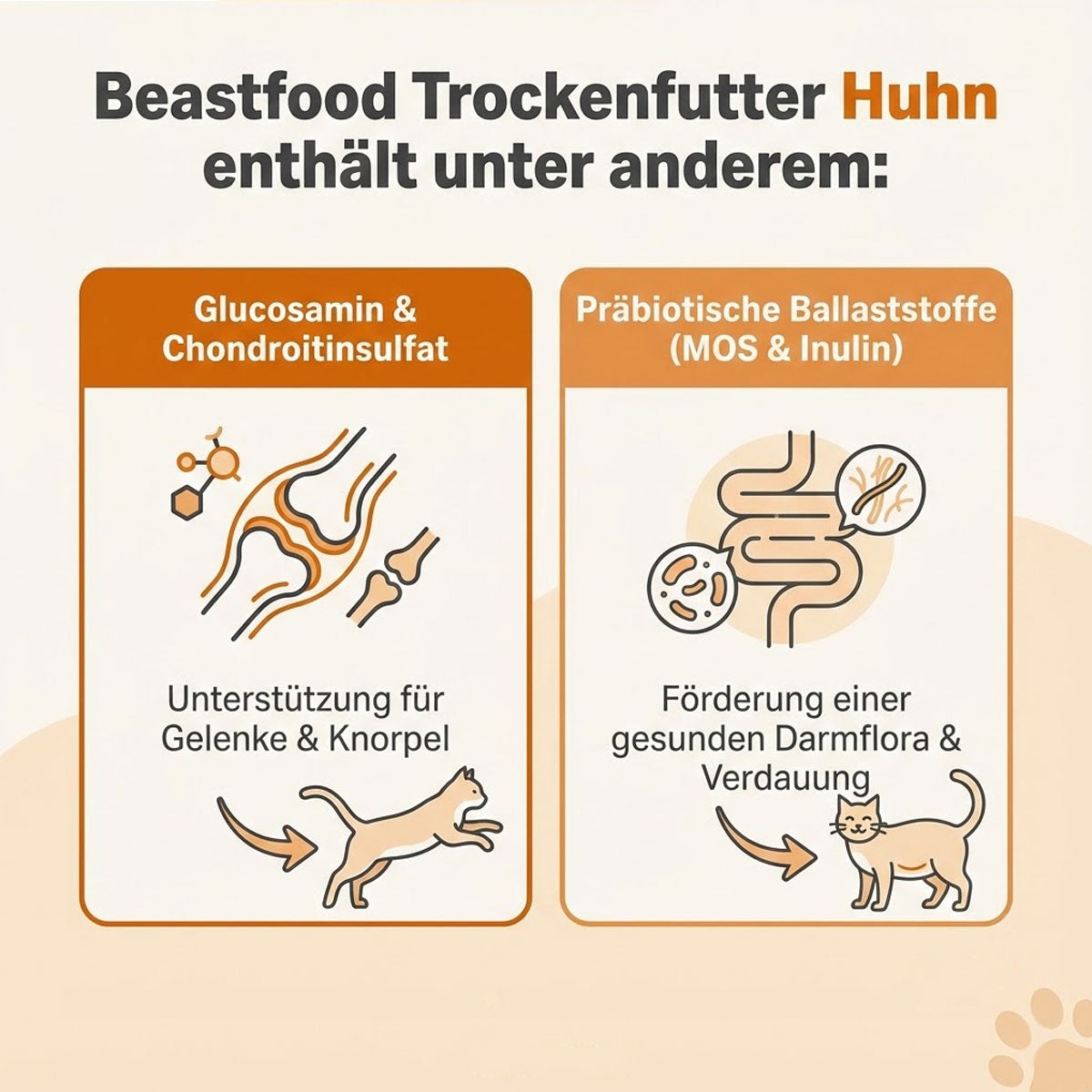 Funktionale Ergänzungen für deine Katze
