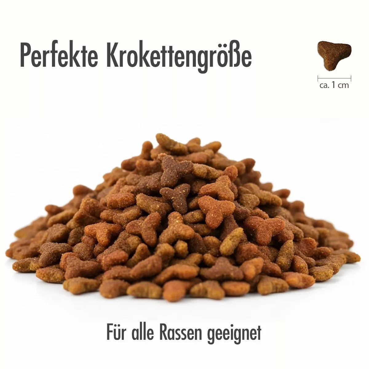 Beastfood Trockenfutter Kroketts
