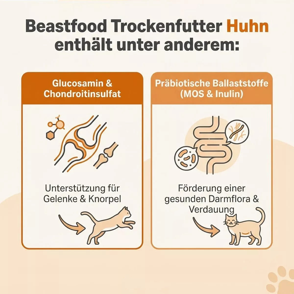 Getreidefreies Katzen-Trockenfutter mit Huhn